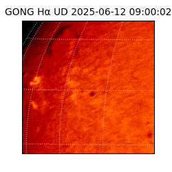 gong - 2025-06-12T09:00:02