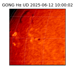 gong - 2025-06-12T10:00:02