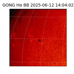 gong - 2025-06-12T14:04:02