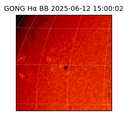 gong - 2025-06-12T15:00:02