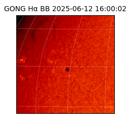 gong - 2025-06-12T16:00:02
