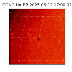gong - 2025-06-12T17:00:02