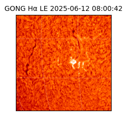 gong - 2025-06-12T08:00:42