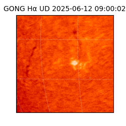 gong - 2025-06-12T09:00:02