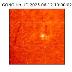 gong - 2025-06-12T10:00:02