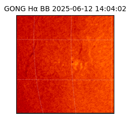 gong - 2025-06-12T14:04:02
