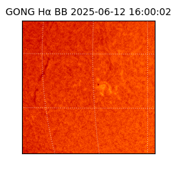 gong - 2025-06-12T16:00:02