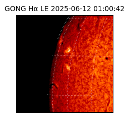 gong - 2025-06-12T01:00:42