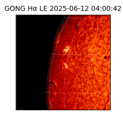 gong - 2025-06-12T04:00:42