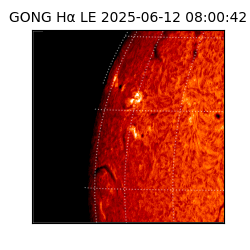 gong - 2025-06-12T08:00:42
