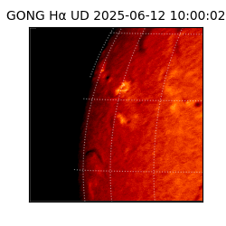 gong - 2025-06-12T10:00:02
