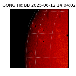 gong - 2025-06-12T14:04:02