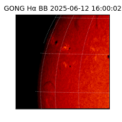 gong - 2025-06-12T16:00:02