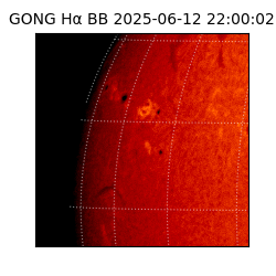 gong - 2025-06-12T22:00:02