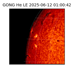 gong - 2025-06-12T01:00:42
