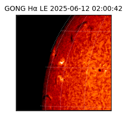 gong - 2025-06-12T02:00:42