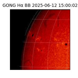 gong - 2025-06-12T15:00:02