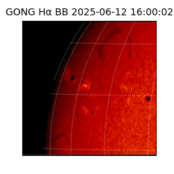 gong - 2025-06-12T16:00:02