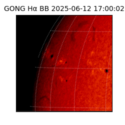 gong - 2025-06-12T17:00:02
