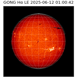 gong - 2025-06-12T01:00:42