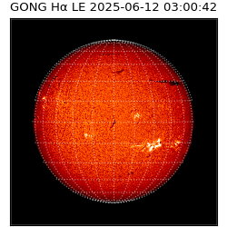 gong - 2025-06-12T03:00:42