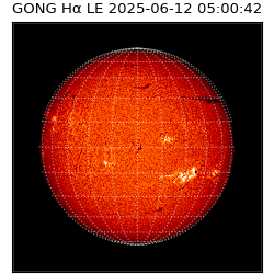 gong - 2025-06-12T05:00:42