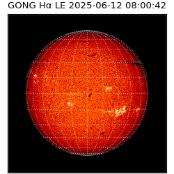 gong - 2025-06-12T08:00:42