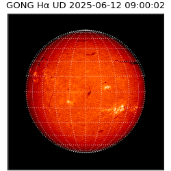 gong - 2025-06-12T09:00:02