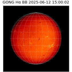 gong - 2025-06-12T15:00:02