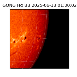 gong - 2025-06-13T01:00:02