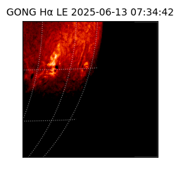 gong - 2025-06-13T07:34:42