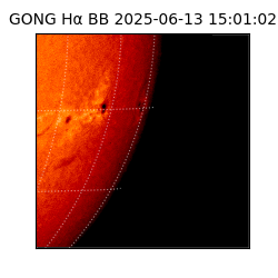 gong - 2025-06-13T15:01:02
