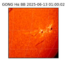 gong - 2025-06-13T01:00:02