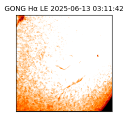gong - 2025-06-13T03:11:42