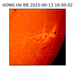 gong - 2025-06-13T16:00:02