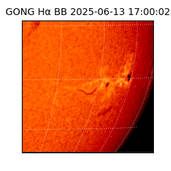 gong - 2025-06-13T17:00:02