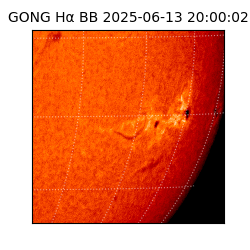 gong - 2025-06-13T20:00:02