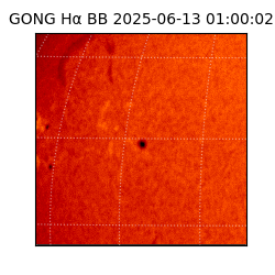 gong - 2025-06-13T01:00:02