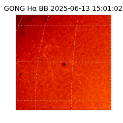 gong - 2025-06-13T15:01:02