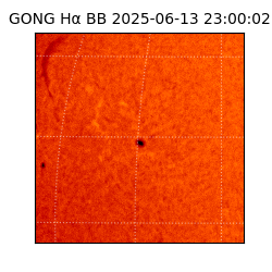 gong - 2025-06-13T23:00:02