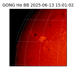 gong - 2025-06-13T15:01:02