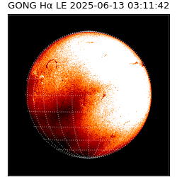 gong - 2025-06-13T03:11:42