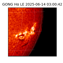 gong - 2025-06-14T03:00:42