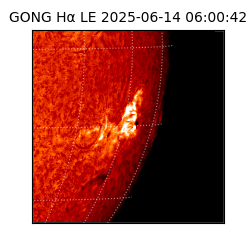 gong - 2025-06-14T06:00:42