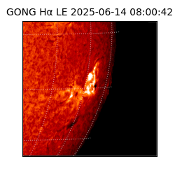 gong - 2025-06-14T08:00:42
