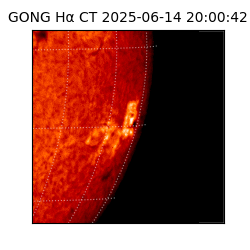 gong - 2025-06-14T20:00:42
