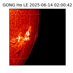 gong - 2025-06-14T02:00:42