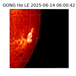 gong - 2025-06-14T06:00:42