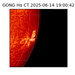 gong - 2025-06-14T19:00:42