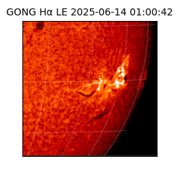gong - 2025-06-14T01:00:42